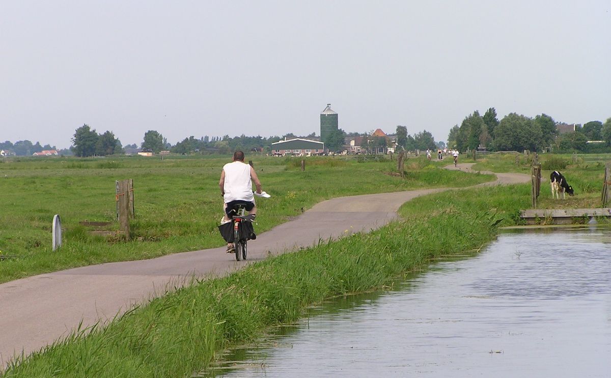 Veenweides in Waterland (foto: Ronald)