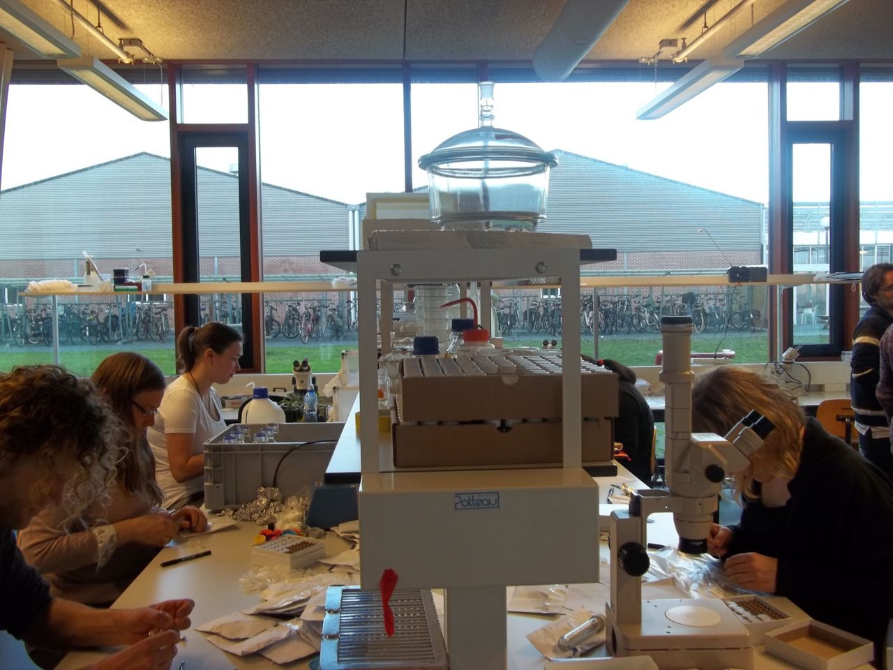 Studenten van Wageningen University hielpen mee met het verwerken van de grote aantallen muggen (foto: Muggenradar.nl)