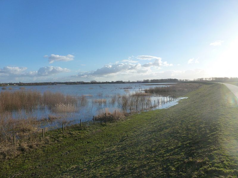 Rivieren met brede, natuurlijke oevers kunnen het water bufferen. (foto: Jemp Peeters)