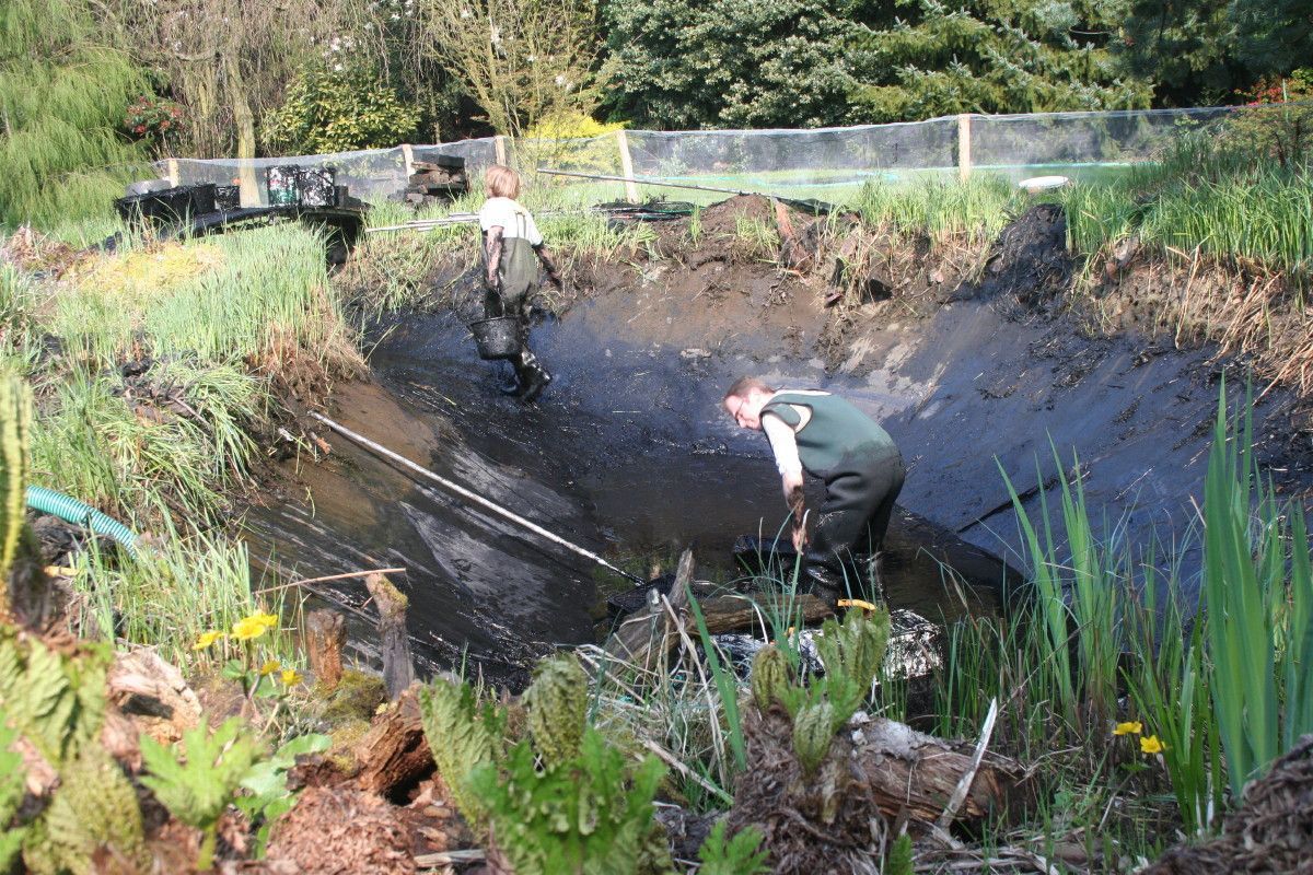 RAVON-medewerkers in actie (foto: Raymond Creemers)