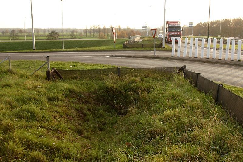 Dichtgegroeide dassentunnel (foto: Aaldrik Pot)