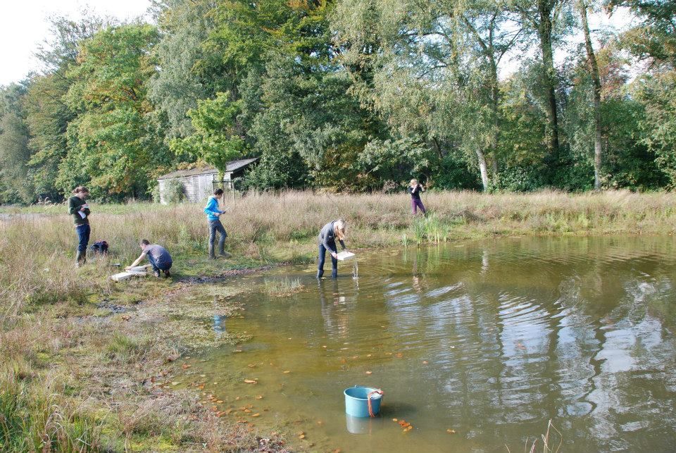 Per poel onderzoeken de leerlingen welke kikkers, padden en salamanders er voorkomen. (foto: LTI Oedelem)