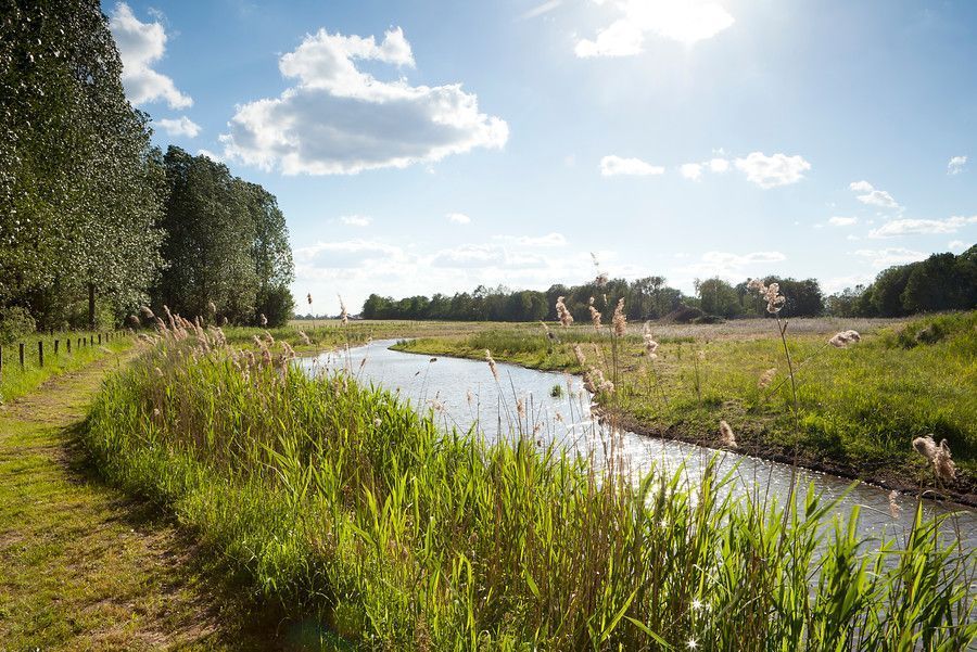 Tungelroyse Beek (foto: Bob Luijks, Natuurportret)