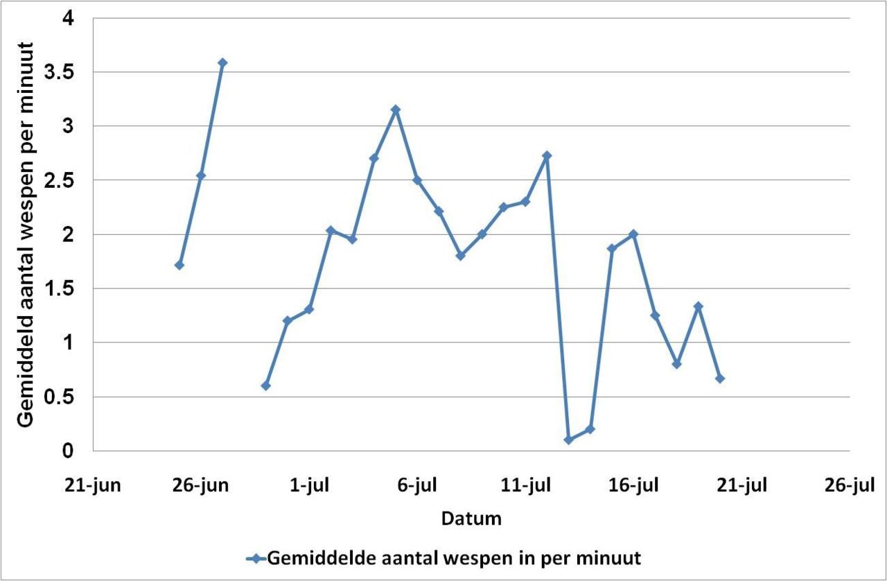 Gemiddeld aantal wespen dat per minuut een wespennest in Ede in vloog