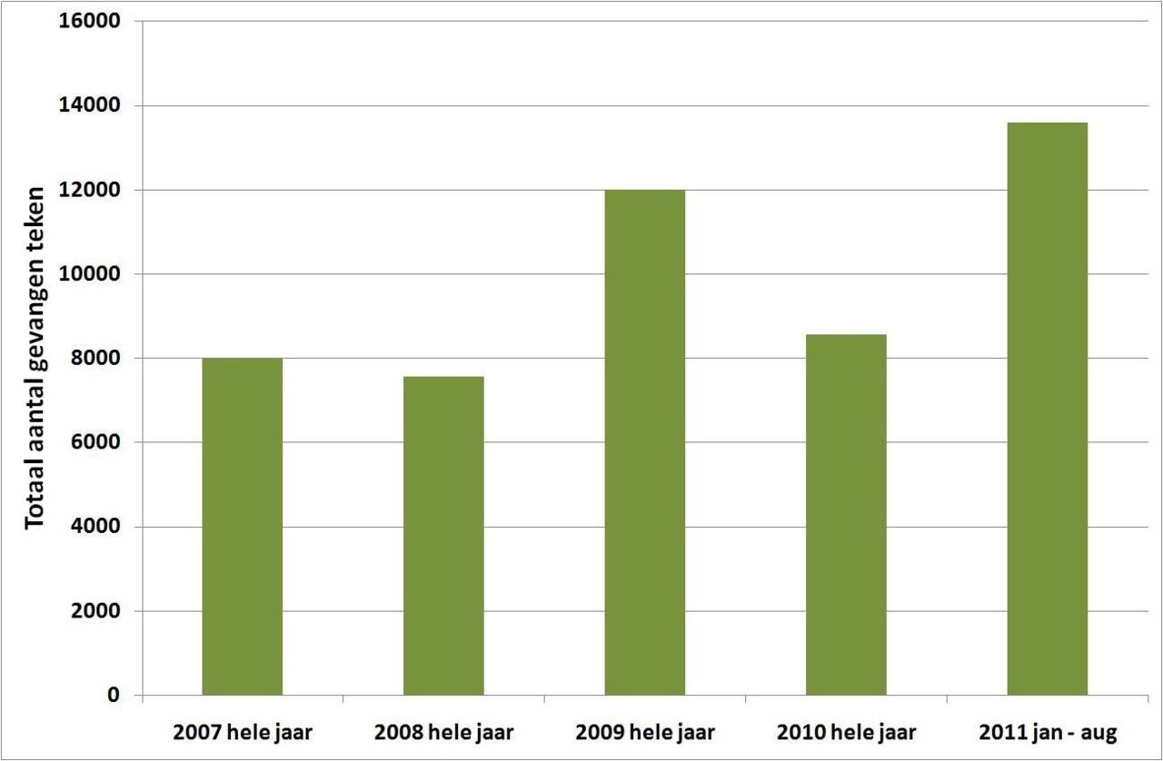 Figuur 1: Het totaal aantal teken gevangen per jaar op 12 vanglocaties. Het aantal voor 2011 bestrijkt de periode januari tot en met augustus