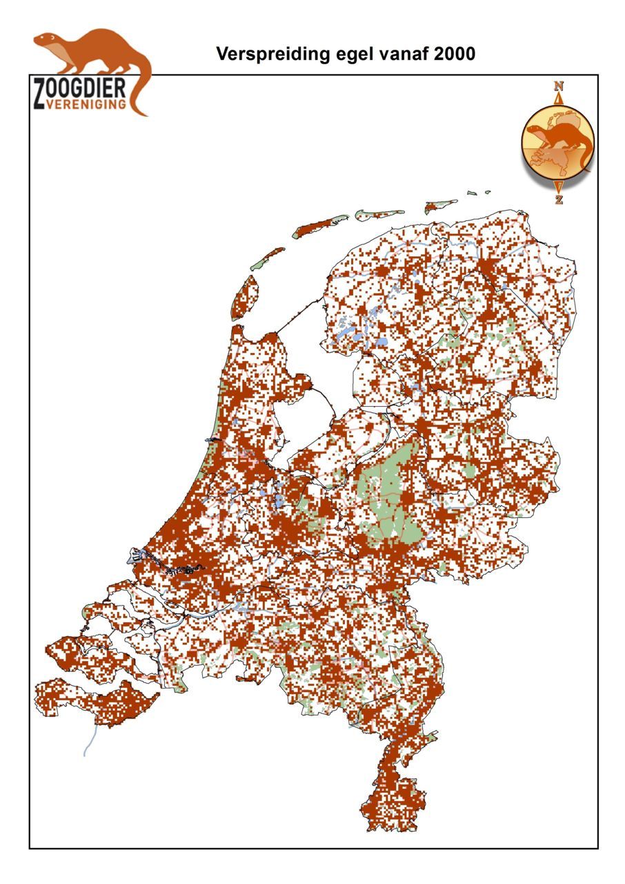 Egelwaarnemingen in Nederland vanaf 2000 (bron: Zoogdiervereniging)