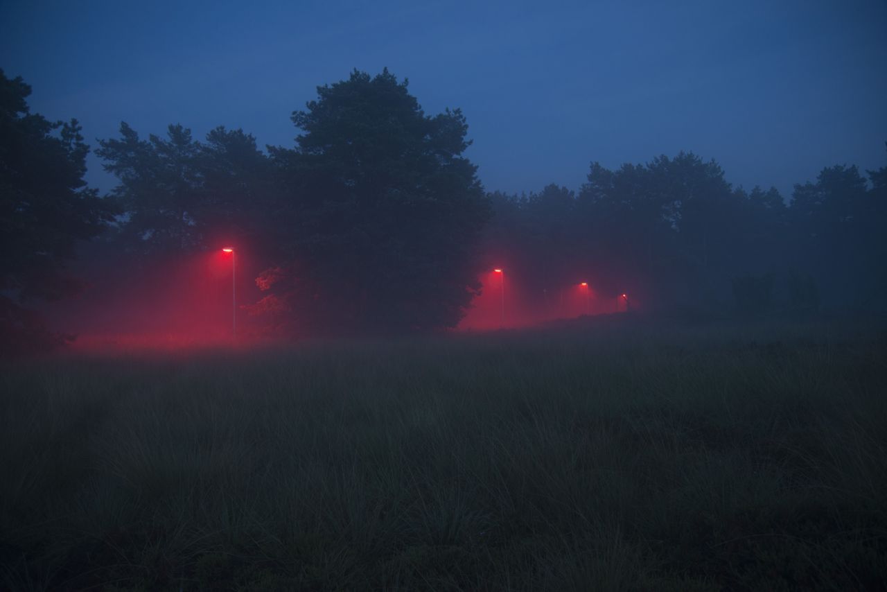 Experiment met kunstlicht (foto: Kamiel Spoelstra)