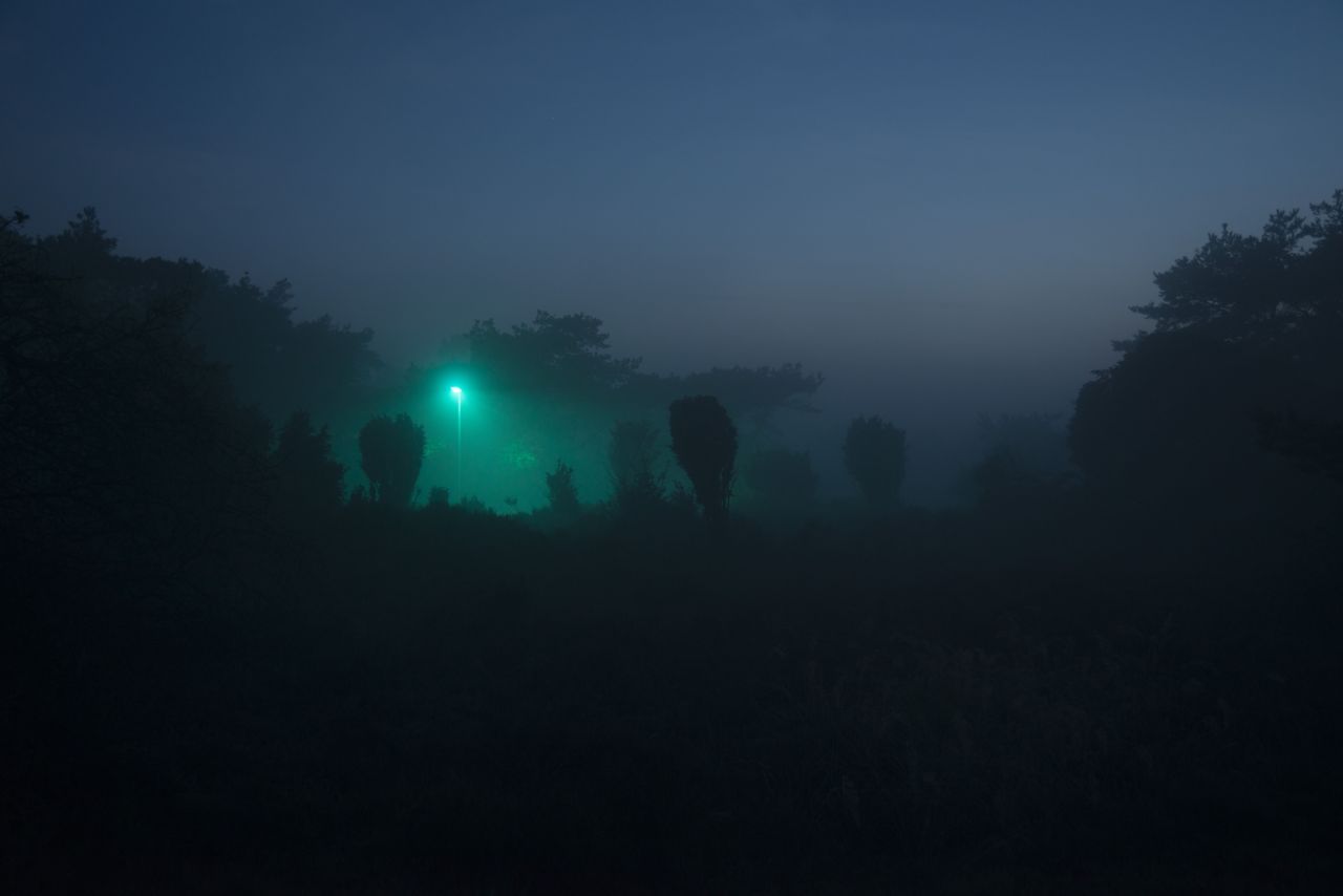 Experiment met kunstlicht (foto: Kamiel Spoelstra)