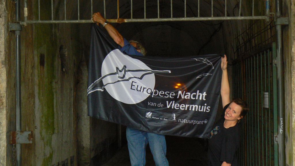 Forten uit de Antwerpse gordel worden almaar belangrijker voor vleermuizen. (foto: Natuurpunt)