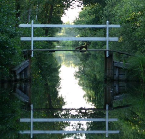 Boommarter over de brug (foto: Marien Bultman)