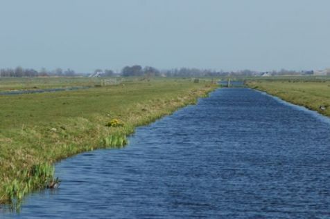 Met een halve theelepel imidacloprid vervuil je een sloot van een meter breed over een lengte van 200 kilometer (foto: Wout van der Slikke)