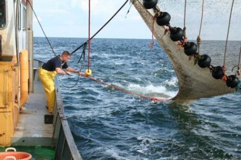 Enkel door gebieden op zee volledig af te sluiten voor visvangst, kan het visbestand herstellen (Foto: Ingrid Tulp)