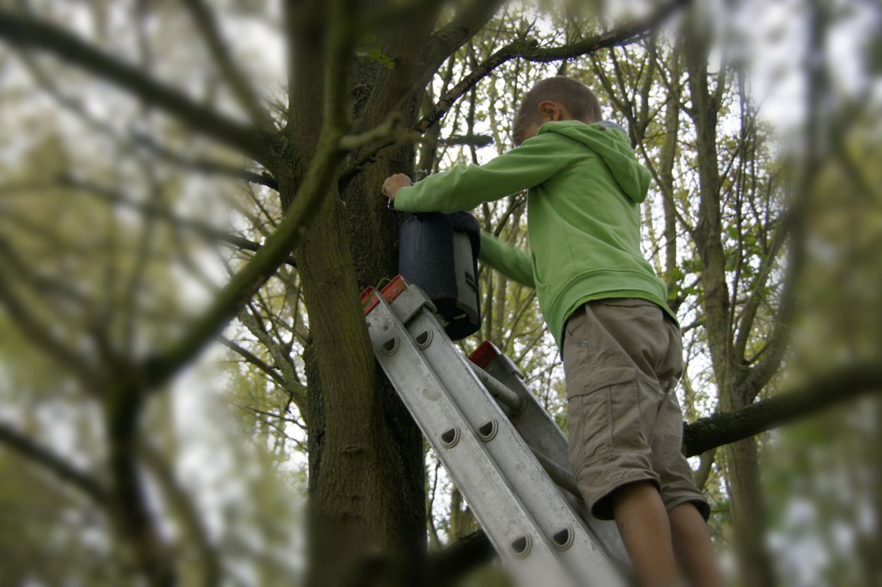 Leerlingen hielpen mee om de houtbetonnen vleermuiskasten op te hangen. (foto: Guy Van Aken)