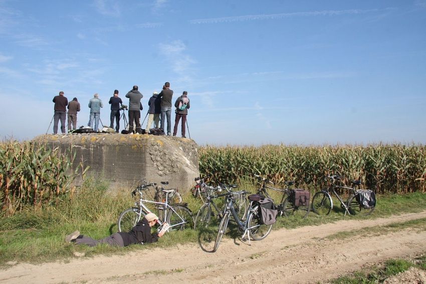 Veel volk aan de telpost Baaigemkouter voor deze voortreffelijke teldag. (foto: Philippe Verbelen)