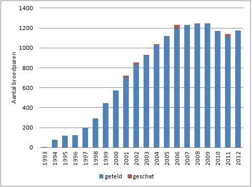 In Vlaanderen piekte de broedpopulatie in 2008. De laatste jaren lijken de aantallen zich op een iets lager niveau te stabiliseren (grafiek: INBO)
