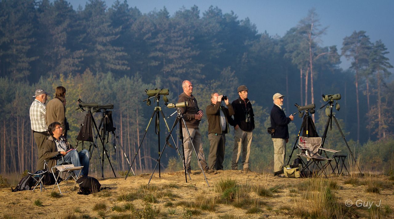 Tretellers in actie op de telpost Averbode Bos en Heide (foto: Guy Janssens)