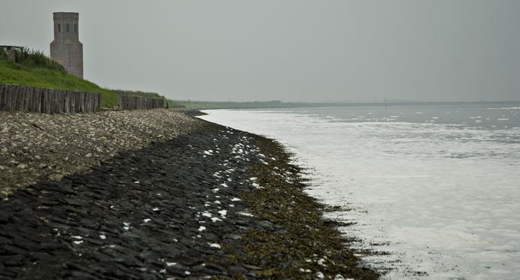 Schuimvorming na algenbloei, Oosterschelde, begin juni 2008 (foto: Peter H. van Bragt)