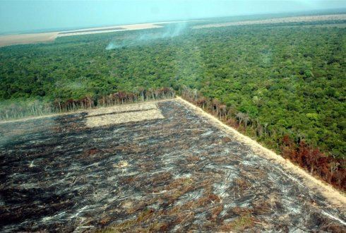 Amazone-ontbossing in MatoGrosso (foto: Wageningen UR)