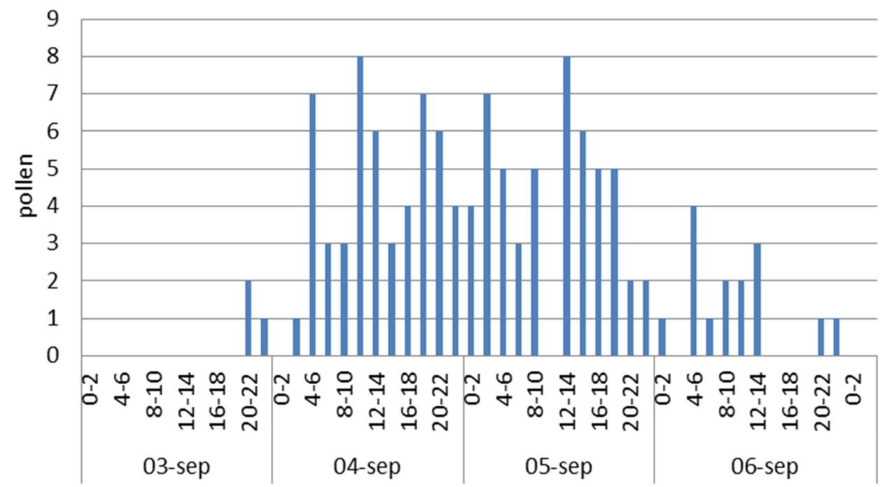 Ambrosia pollentellingen per twee uur van 3 tot en met 6 september 2014 van het LUMC (bron: LUMC)