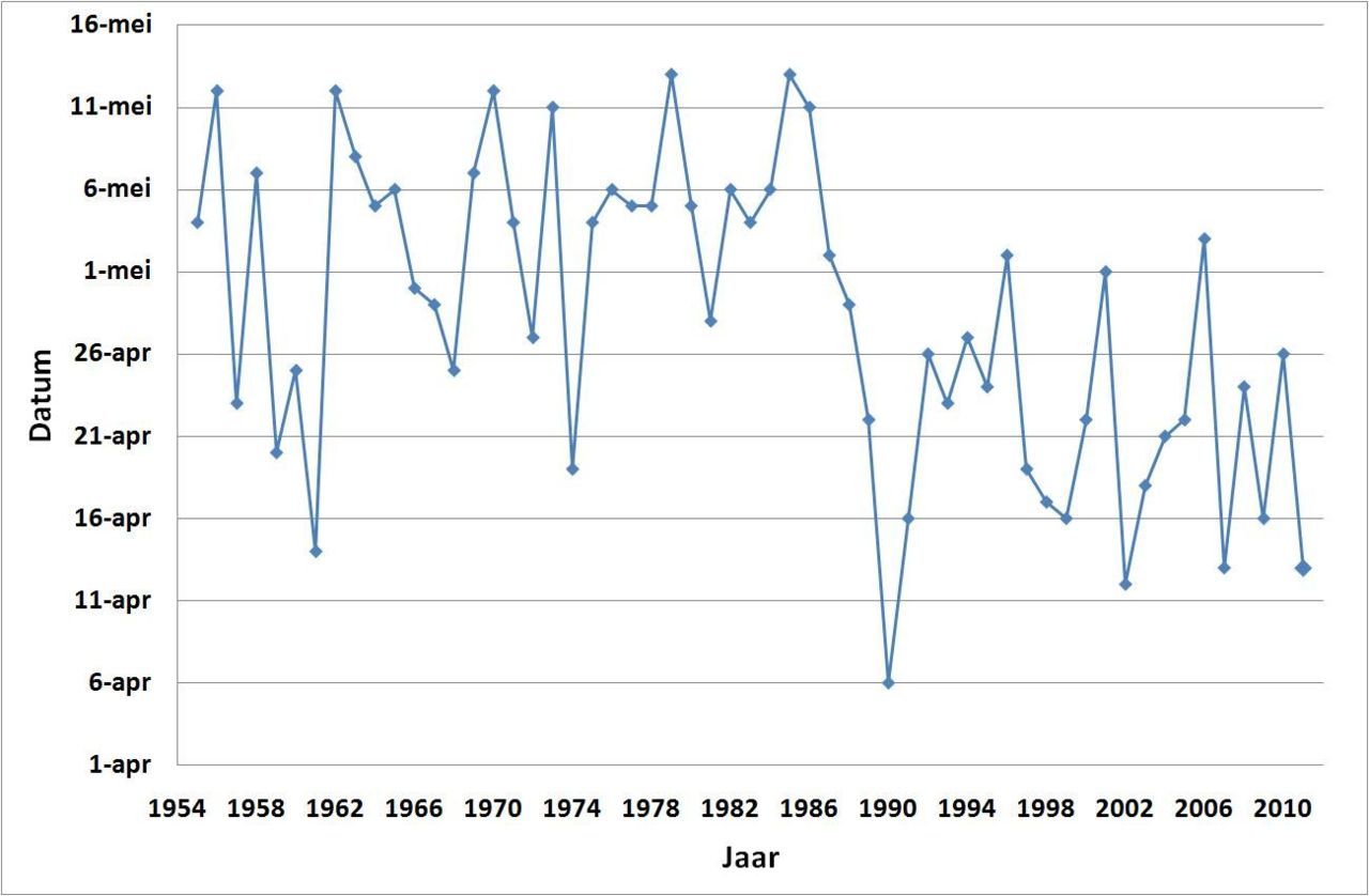 Start bloei appelbomen in de periode 1955 tot en met 2011 (bron data: PPO Fruit)