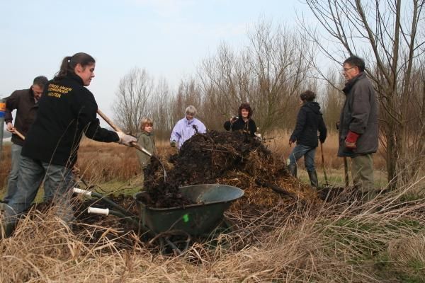 Vrijwilligers leggen een nieuwe broeihoop aan (foto: Raymond Creemers)