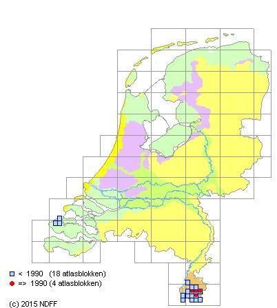 Verspreiding Vliegenorchis in Nederland (bron: Verspreidingsatlas en Floron)