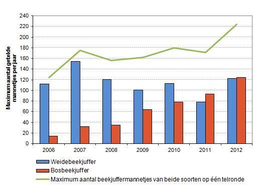 Evolutie van de beekjufferaantallen in De Kluis-Blommerschot (Natuurstudiewerkgroep Voorkempen)