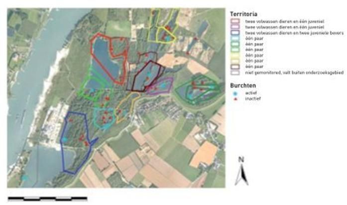 Beverburchten en territoria in de Kerkerdomse- en Millingerwaard Er is onderscheid gemaakt tussen laagwaterterritoria (dikke lijn) en vermoedelijke hoogwaterterritoria (dunne lijn) (bron: Zoogdier)