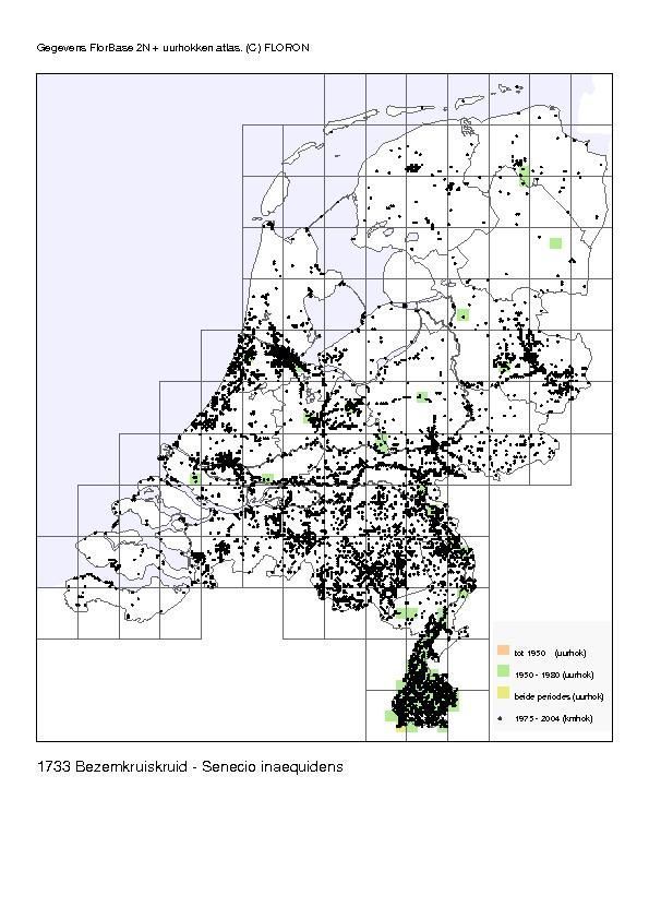 Verspreiding van bezemkruiskruid in Nederland (kaartje: FLORON)