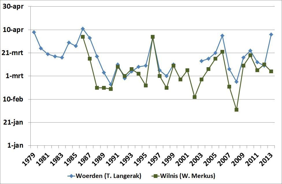 Waarneming van eerste bijenstuifmeel binnengebracht door bijen (bron: De Natuurkalender)