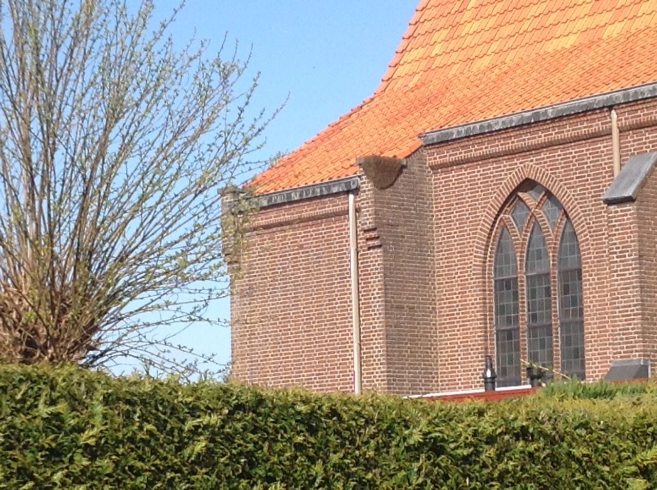 Aan de muur van de kerk in Bergen (L.) op 22 april (foto: B. van Boven)
