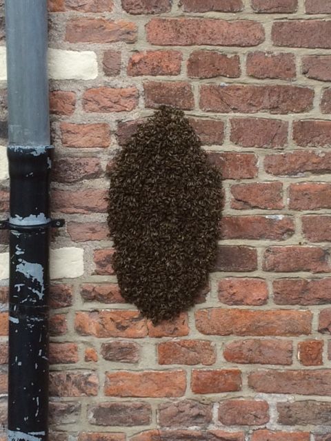 Op oude muur van kantoorpand op 4 mei in Culemborg (foto: M. Verf)