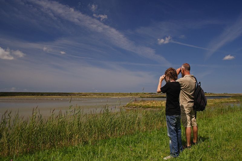 Waarnemingen ingeven was nog nooit zo makkelijk. Geen notitieboekje meer nodig, maar gewoon live op je smartphone ingeven wat je ziet (Foto: Martin Hierck)