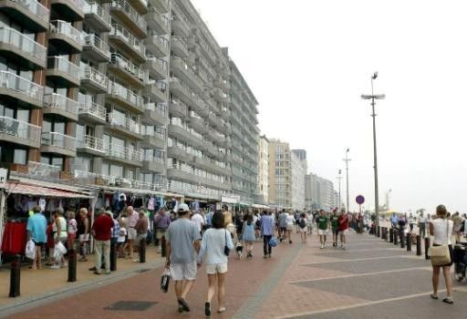 Intensief bebouwde gebieden zijn het meest kwetsbaar voor wateroverlast, net omdat de natuurlijke structuren die ons beschermen daar verdwenen zijn. (foto: Creative Commons)