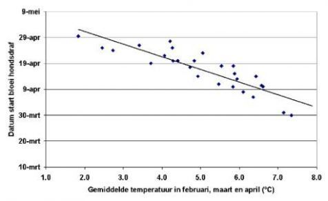 Start bloei hondsdraf hangt af van de gemiddelde temperatuur in februari, maart en april (figuur: De Natuurkalender)