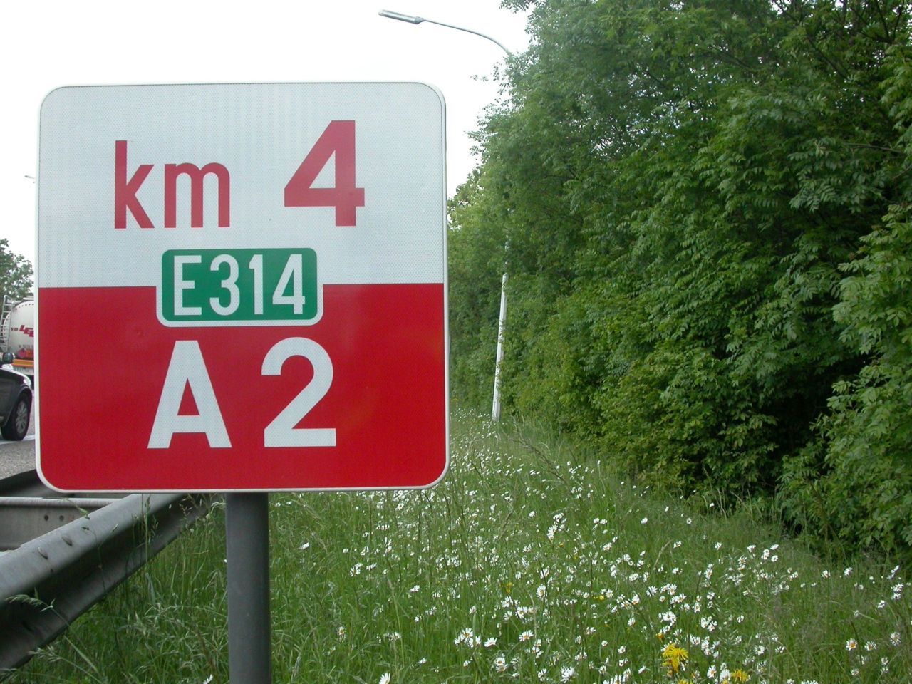 Een bloemrijke berm langs de E314 (Foto: Roosmarijn Steeman)