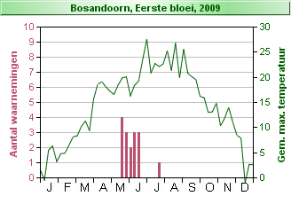 Eerste bloeiende bosandoorns in 2009 (bron: De Natuurkalender)
