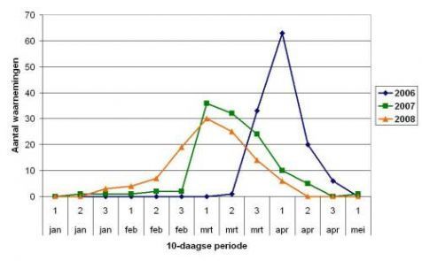 Eerste bloei bosanemoon in 2006, 2007 en 2008 (figuur: Arnold van Vliet)