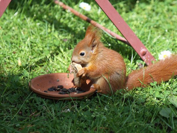 Dan maar brood (foto: Henni van der Zanden)