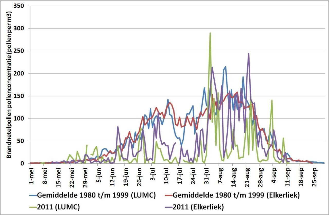 Dagelijks gemiddelde brandnetelpollenconcentraties bij het LUMC en Elkerliek ziekenhuis in de periode 1980 tot en met 1999, en in 2011 (bron: LUMC en Elkerliek)