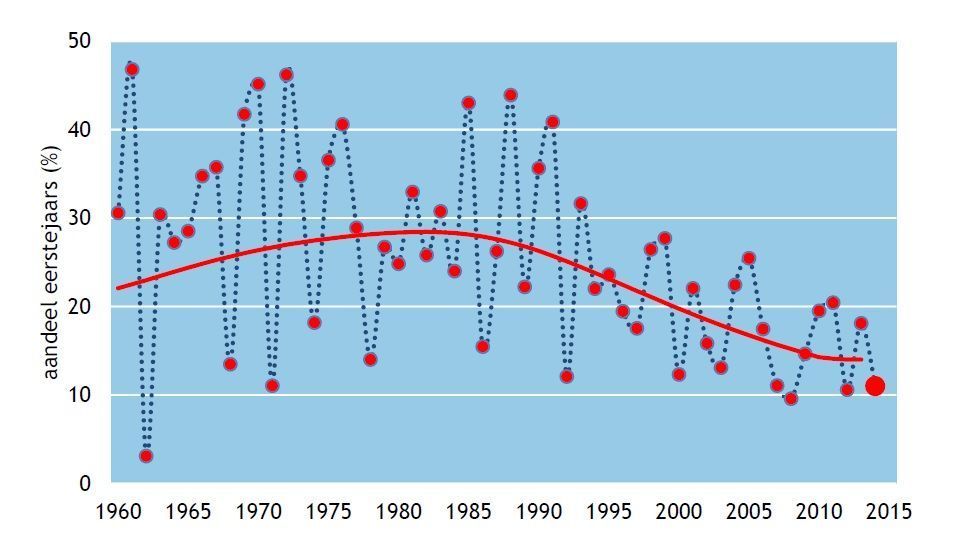 Jaarlijkse percentage jonge kolganzen 1960-2014 met trendlijn (figuur: Sovon Vogelonderzoek Nederland)