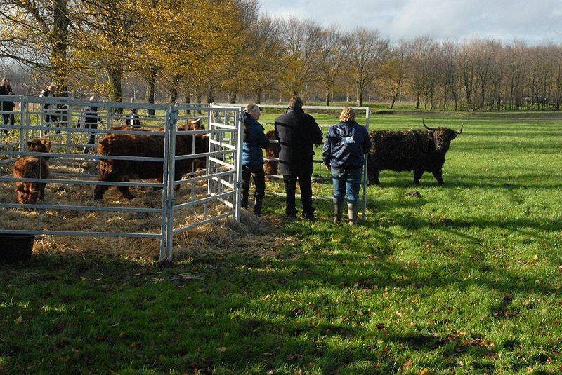 Feestelijke opening natuurgebied de Broekpolder, Vlaardingen (foto: anoniem)