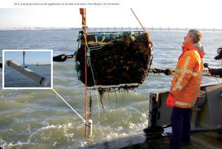 Een CPod, onderwatermicrofoon, registreert onderwatergeluid en slaat het op (foto: WouterJan Strietman)