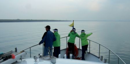 Rugvin waarnemers tellen rugvinnen van bruinvissen (foto: WouterJan Strietman)