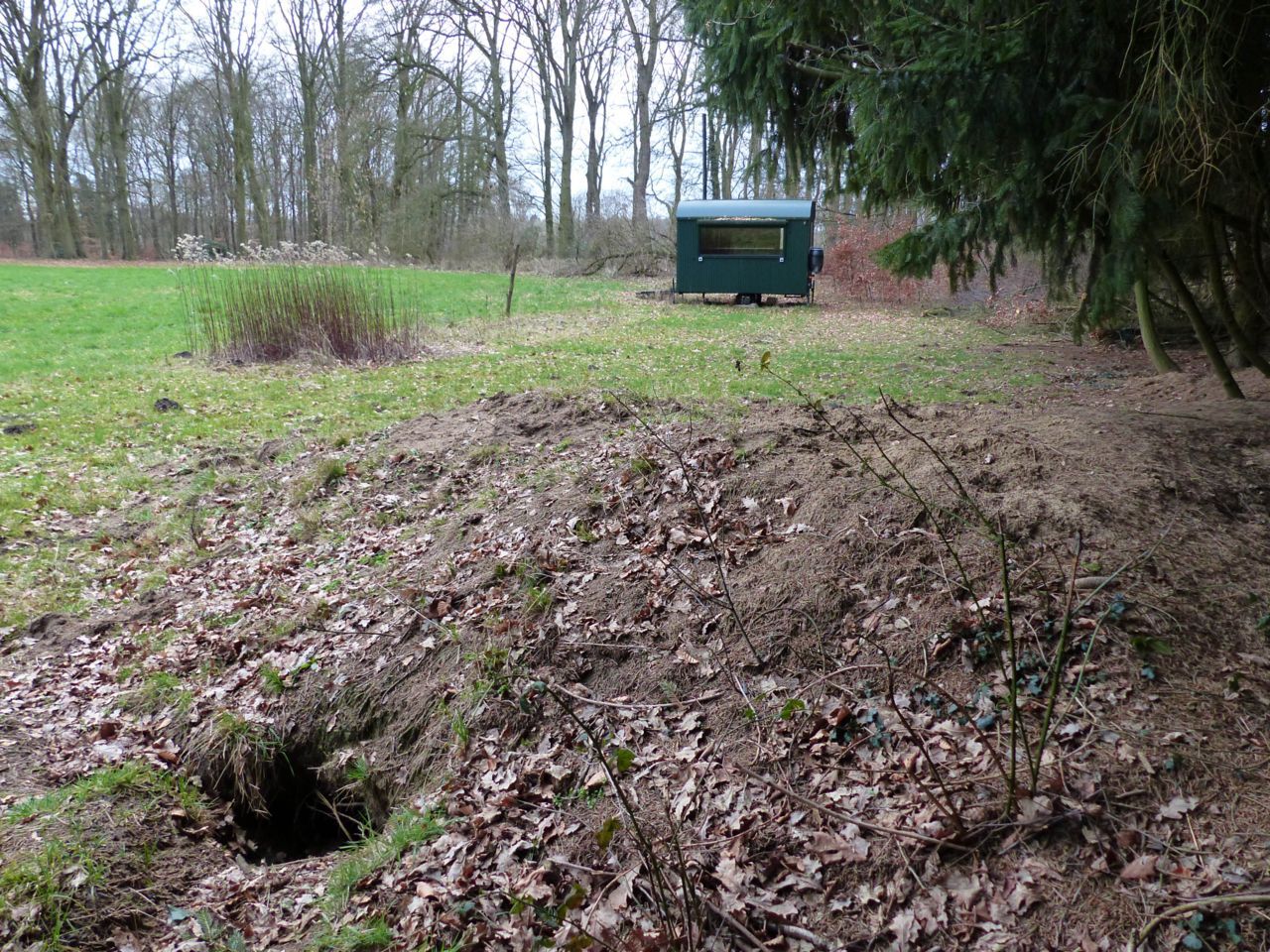 Dasmobiel aan de buitenkant. Op de voorgrond een ingang van de dassenburcht (foto: Mark Zekhuis)