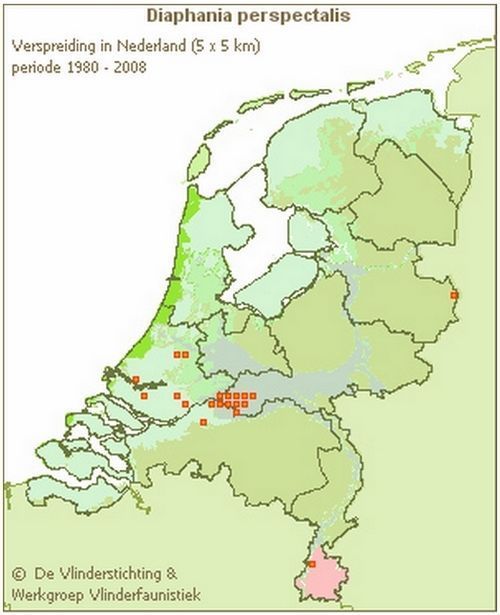 Verspreiding buxusmot in Nederland (kaartje: Microlepidoptera.nl)