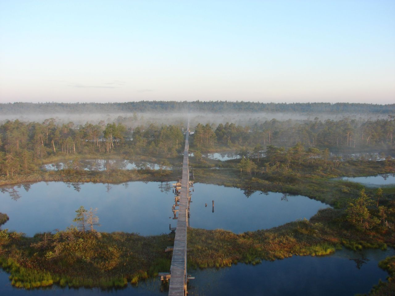 Een intact hoogveen in Estland (foto: Gert-Jan van Duinen)