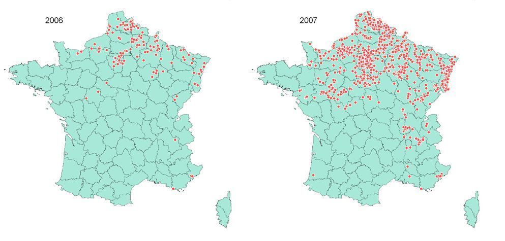 Verspreiding van het Aziatisch lieveheersbeestje in Frankrijk 2006-2007 (Figuur: Observatoire permanent pour le suivi  de la coccinelle asiatique en France)