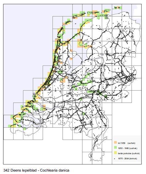 Verspreiding Deens lepelblad, een prachtige weergave van kust en snelwegennet (Foto: Stichting FLORON)