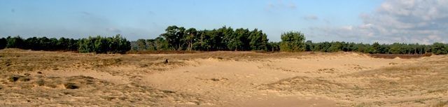 Weer opengemaakt stuifzand op de Hoge Veluwe (foto: Kars Veling)